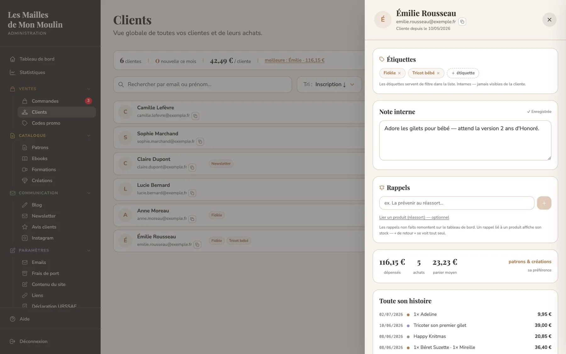 Panneau cliente du mini-CRM intégré